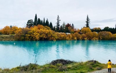 Lower Mainland Bookkeeping Services — Helping Small Businesses Stay Organized and Stress-Free